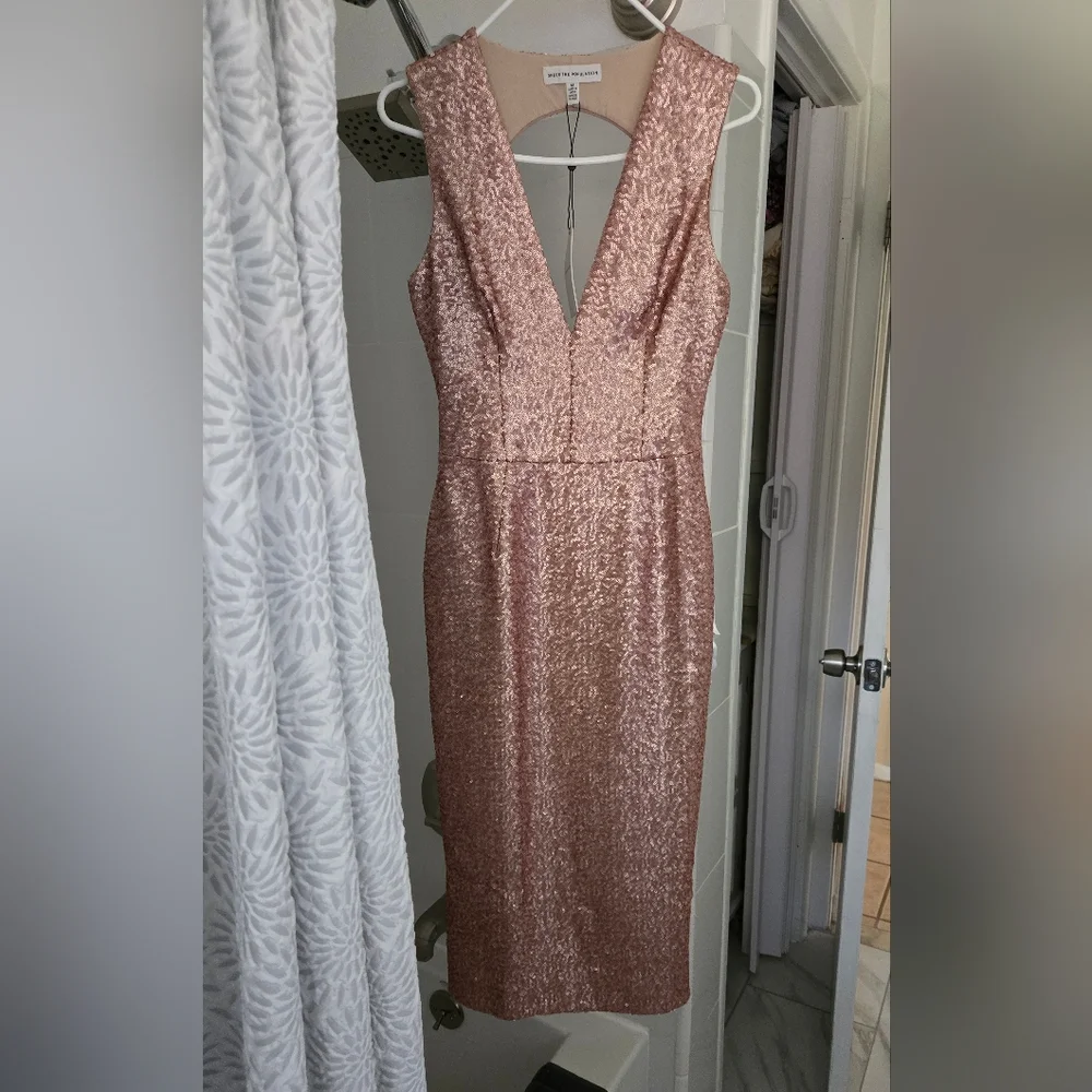 Dress the Population pink muted sequined dress sz m nwt - Picture 2 of 8